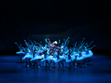 Swan Lake - State Ballet Of Georgia